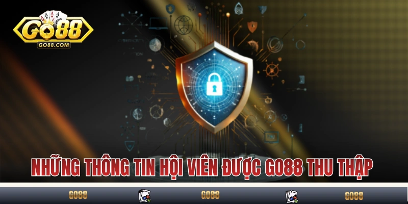 Những thông tin hội viên được GO88 thu thập